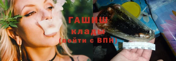 гидра Абаза