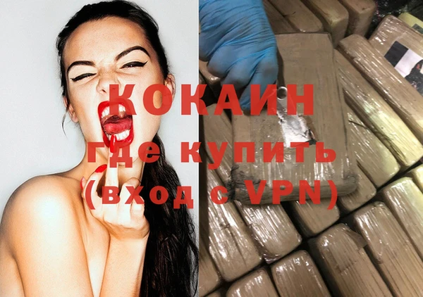 гидра Абаза