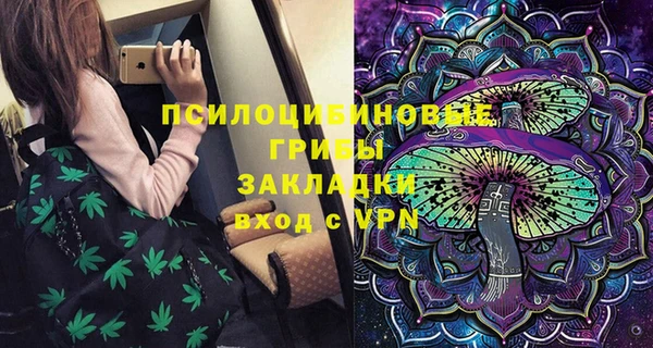 гидра Абаза