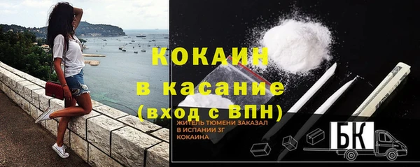 гидра Абаза