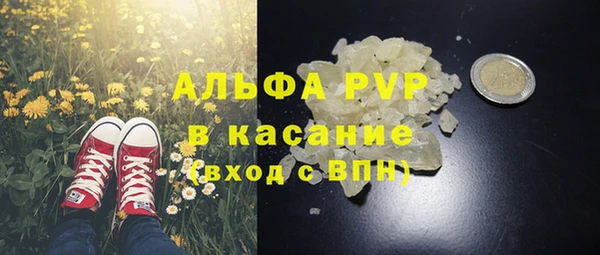гидра Абаза
