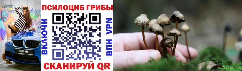 Галлюциногенные грибы MAGIC MUSHROOMS Черногорск